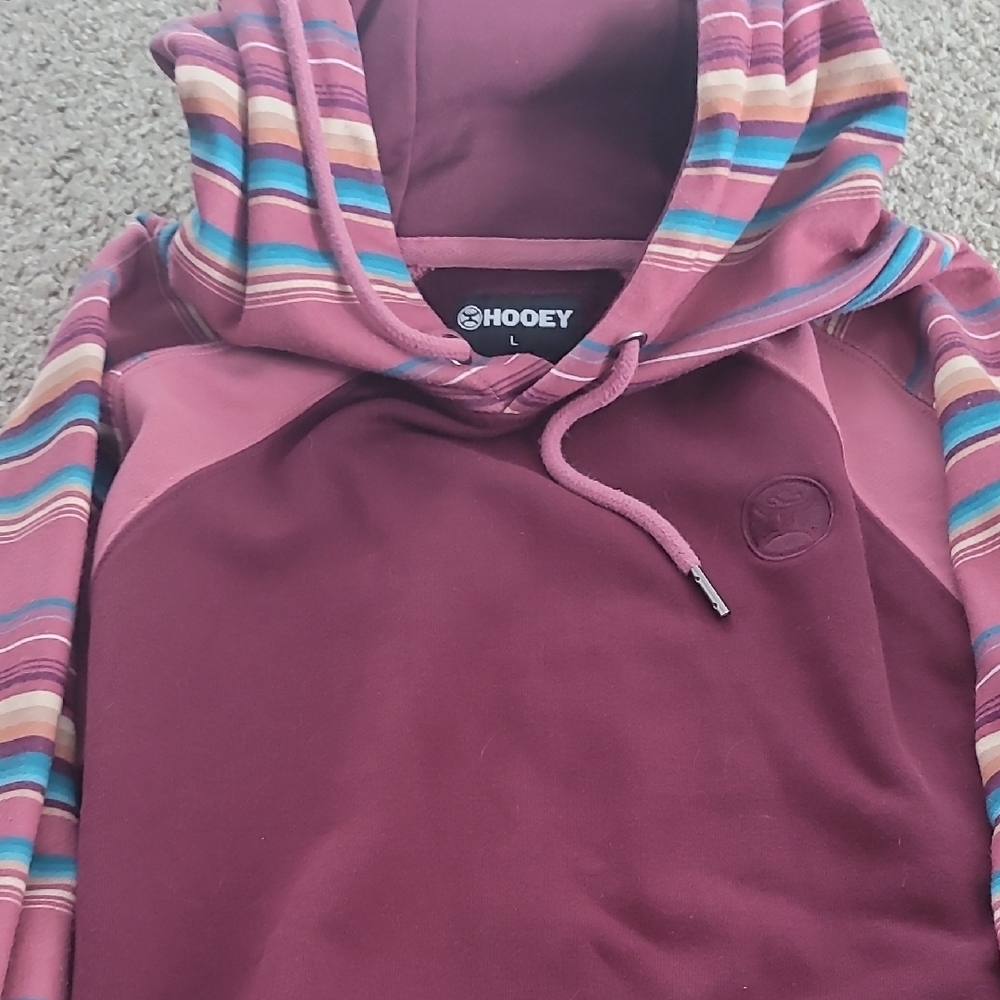 Hooey Striped Hoodie in Burgundy and Multicolor